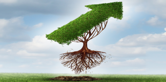 4. hiša simbolizira vaše korenine