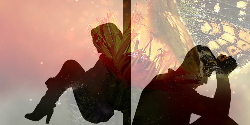 Konflikti, kako jih rešiti