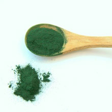 zagotavlja vrhunsko kakovost izdelkov