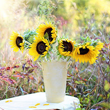 Mesečni horoskop junij 2020 za vsa astrološka znamenja